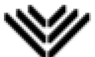 The SAS Elite Pro Journey