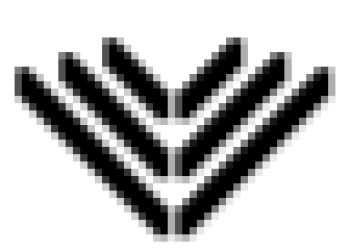 The SAS Elite Pro Journey